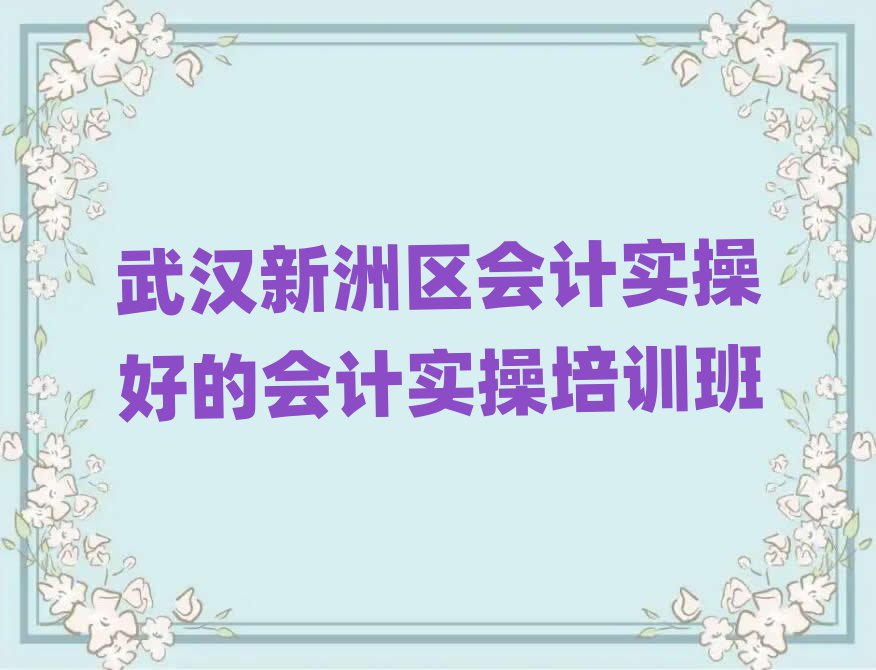武漢新洲區(qū)會(huì)計(jì)實(shí)操好的會(huì)計(jì)實(shí)操培訓(xùn)班
