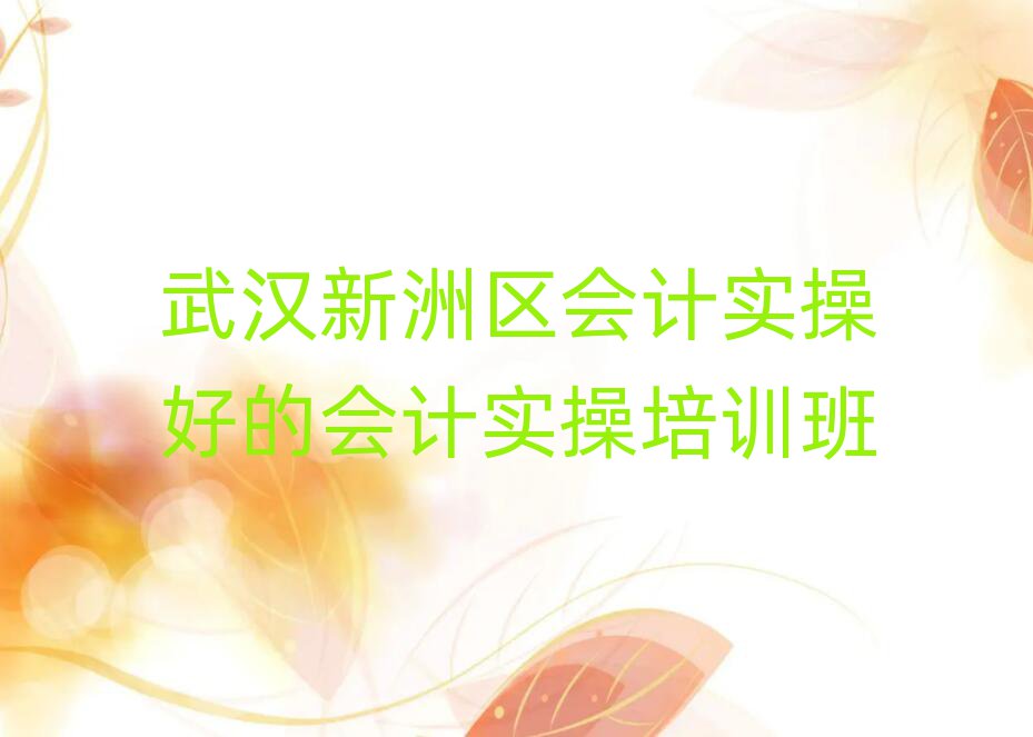 武漢新洲區(qū)會(huì)計(jì)實(shí)操好的會(huì)計(jì)實(shí)操培訓(xùn)班
