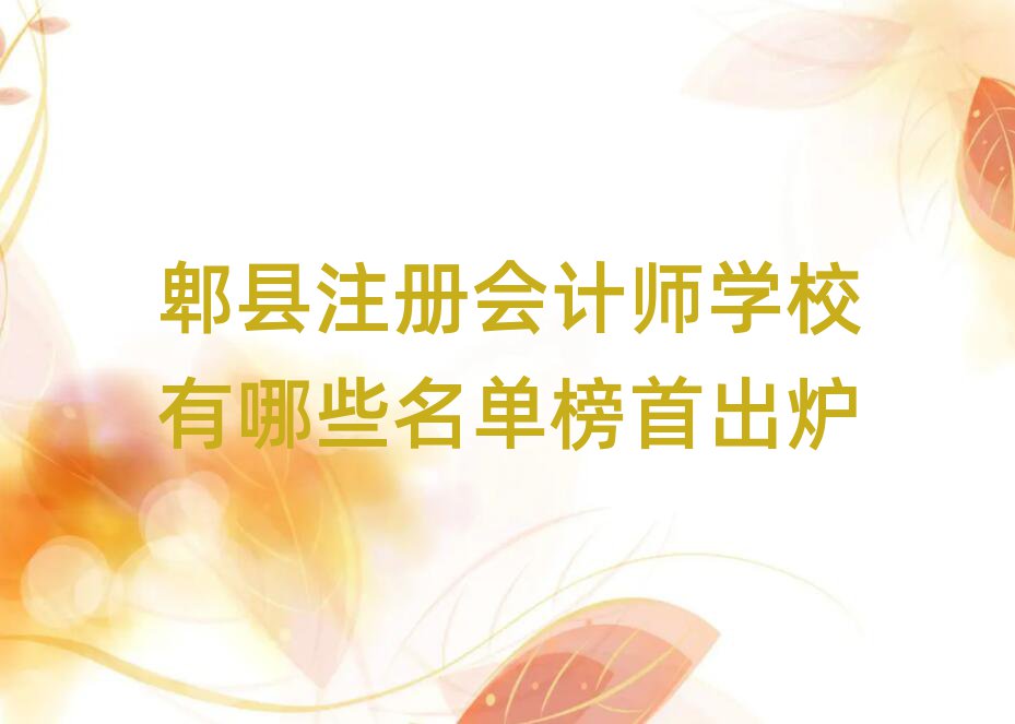 郫縣注冊(cè)會(huì)計(jì)師學(xué)校有哪些名單榜首出爐