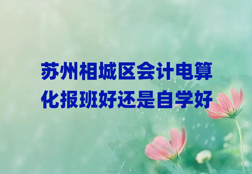 蘇州相城區(qū)會(huì)計(jì)電算化報(bào)班好還是自學(xué)好