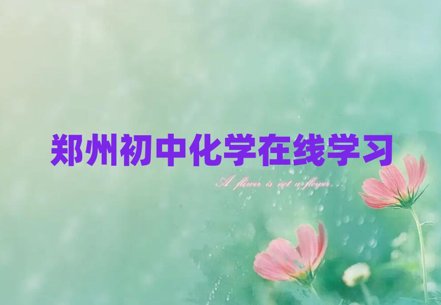 鄭州初中化學(xué)在線學(xué)習(xí)