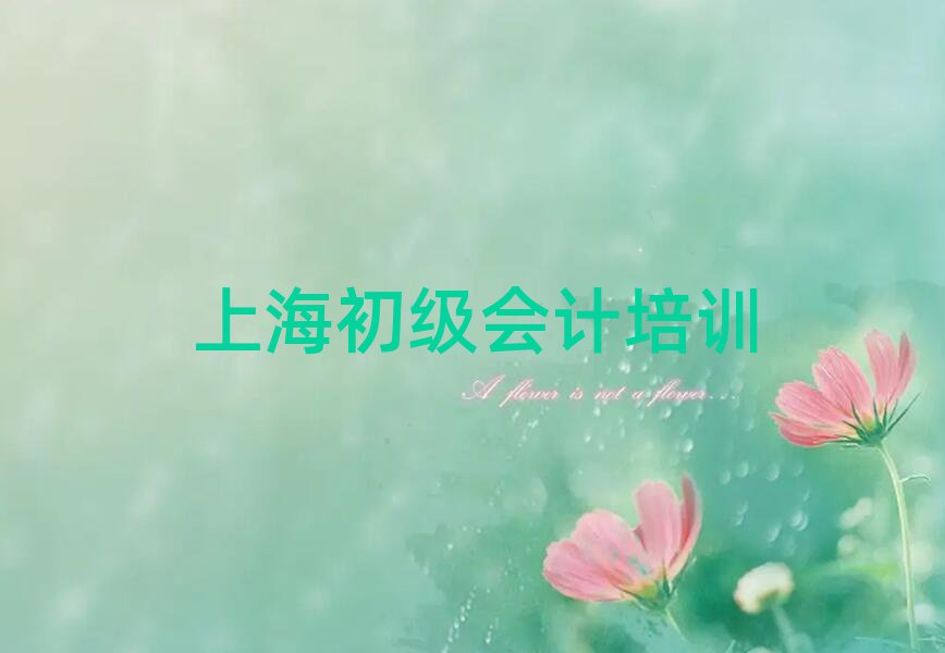 上海奉賢區(qū)初級(jí)會(huì)計(jì)哪個(gè)學(xué)校好十大一覽匯總本地甄選的