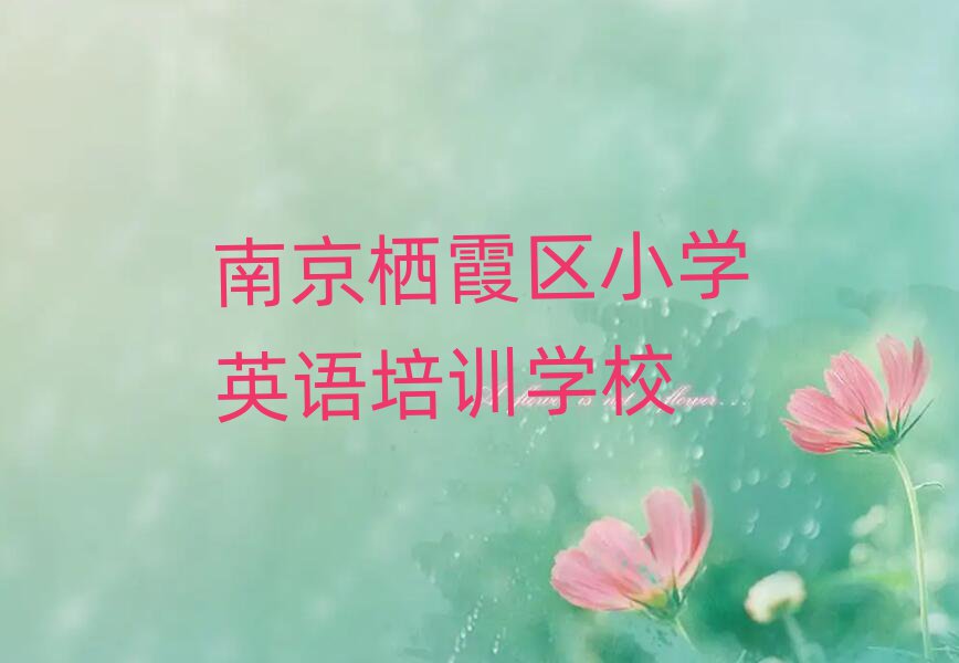 2025年南京棲霞區(qū)小學(xué)英語培訓(xùn)輔導(dǎo)收費(fèi)明細(xì)