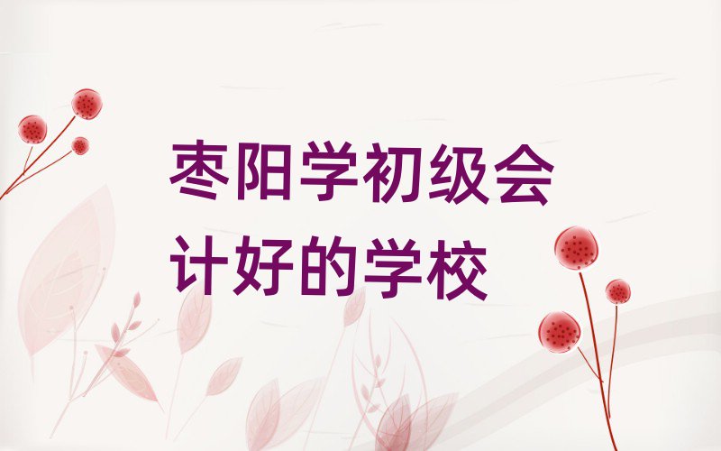 棗陽(yáng)學(xué)初級(jí)會(huì)計(jì)好的學(xué)校