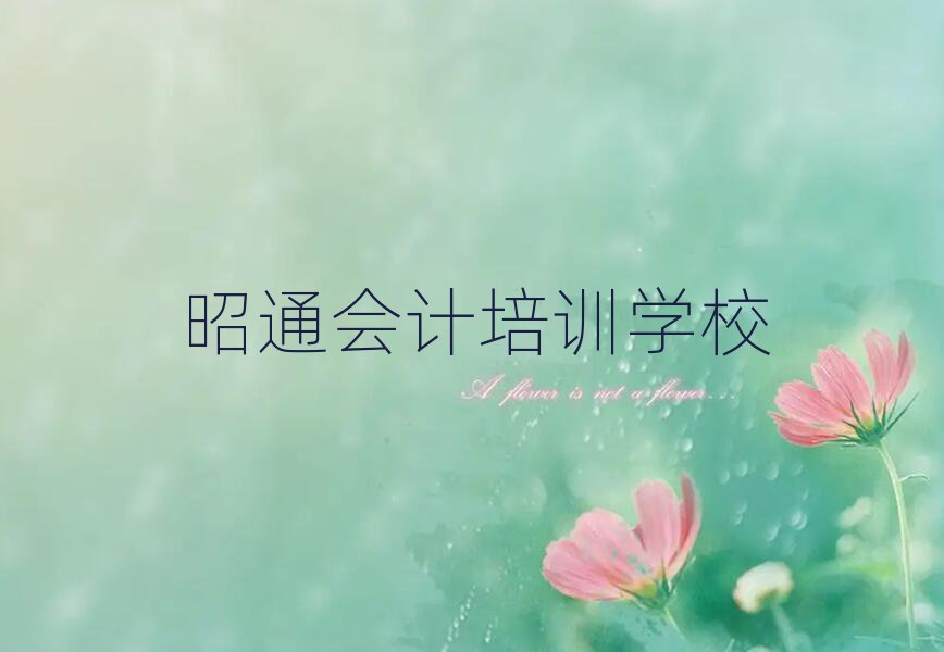 昭通口碑前會(huì)計(jì)學(xué)校排名前十
