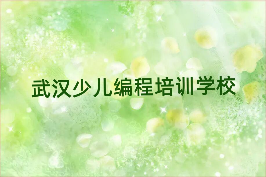 武漢少兒編程培訓(xùn)學(xué)校
