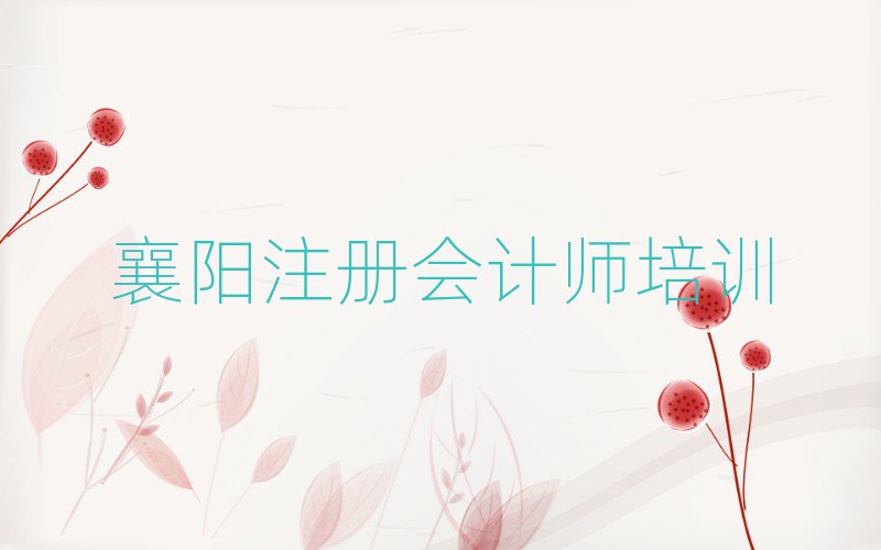 2025襄陽(yáng)去哪學(xué)注冊(cè)會(huì)計(jì)師top排行榜