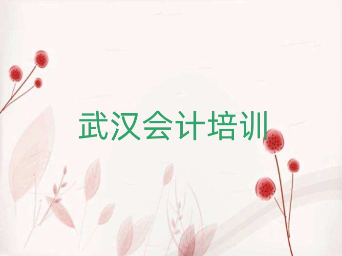 2025年武漢青山區(qū)培訓(xùn)會計學(xué)費多少錢一十大排名