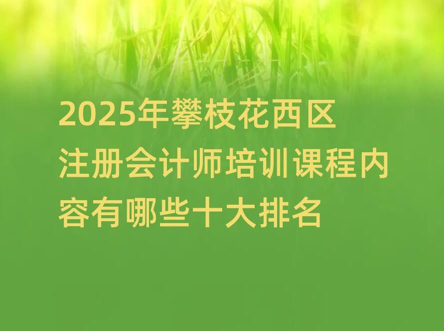 2025年攀枝花西區(qū)注冊(cè)會(huì)計(jì)師培訓(xùn)課程內(nèi)容有哪些十大排名