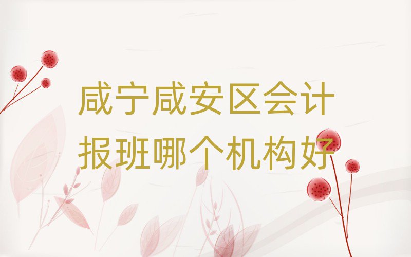 咸寧咸安區(qū)會計報班哪個機構(gòu)好