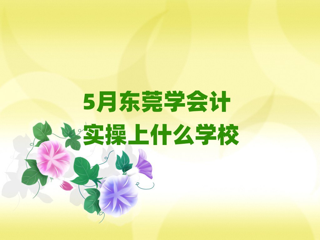 5月東莞學(xué)會計實操上什么學(xué)校