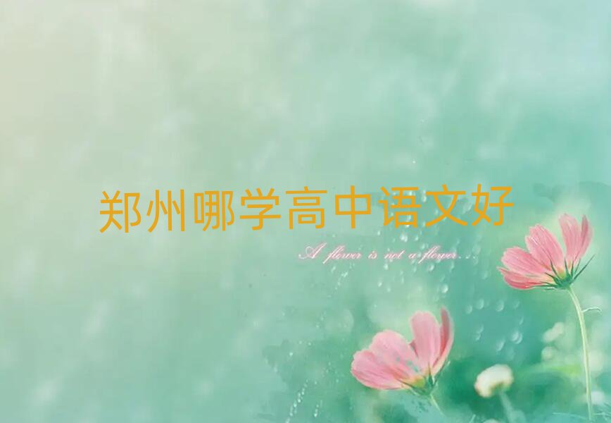 鄭州哪學(xué)高中語(yǔ)文好