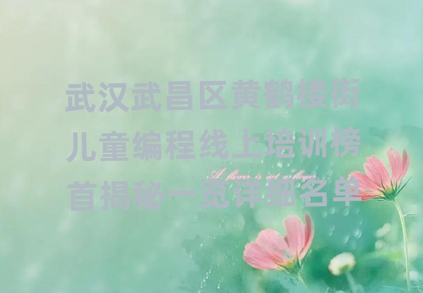 武漢少兒編程培訓(xùn)學(xué)校