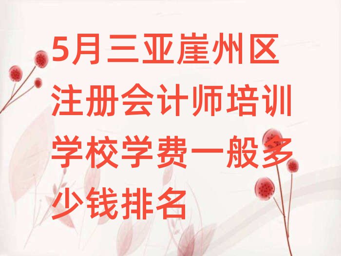 5月三亞崖州區(qū)注冊會計(jì)師培訓(xùn)學(xué)校學(xué)費(fèi)一般多少錢排名