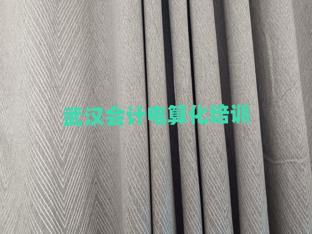 武漢漢南區(qū)會計(jì)電算化口碑比較好的會計(jì)電算化教育機(jī)構(gòu)