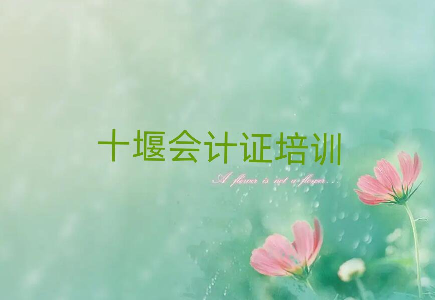 十堰茅箭區(qū)會(huì)計(jì)證培訓(xùn)學(xué)校名單精選一覽
