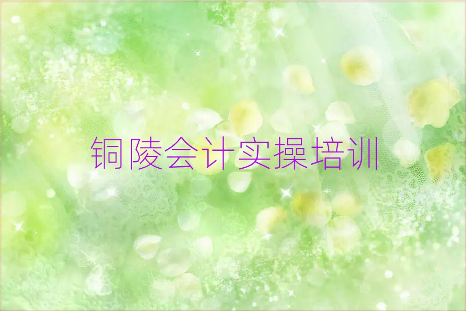 銅陵哪里學(xué)會計實操十大排名名單公布