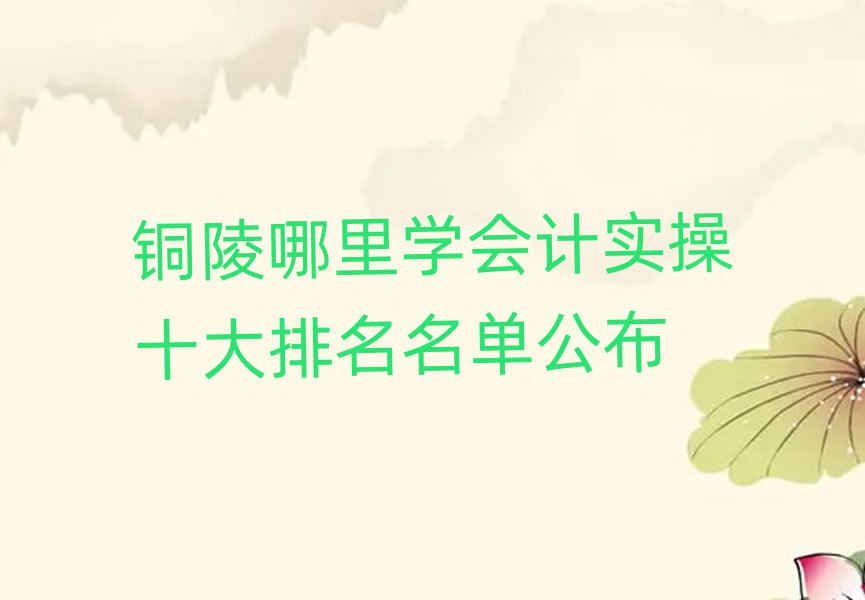銅陵哪里學(xué)會計實操十大排名名單公布