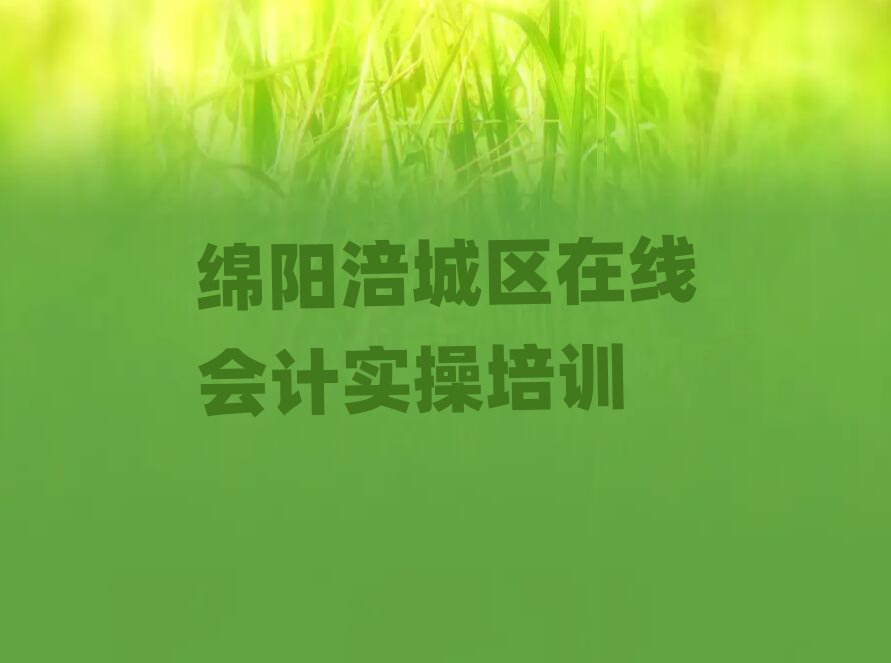 綿陽(yáng)涪城區(qū)在線會(huì)計(jì)實(shí)操培訓(xùn)