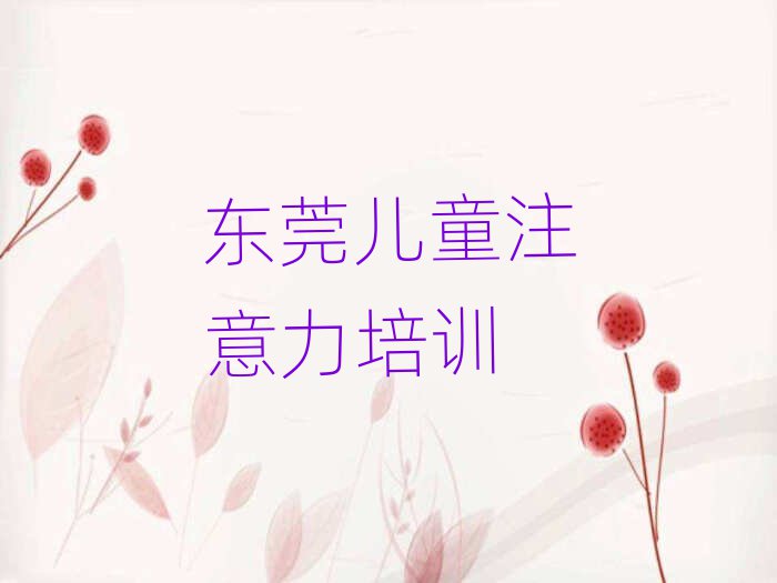 2025年東莞學少兒專注力提高一般去哪里學