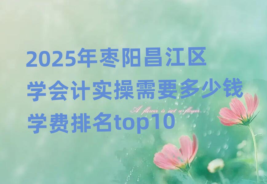 2025年棗陽昌江區(qū)學(xué)會(huì)計(jì)實(shí)操需要多少錢學(xué)費(fèi)排名top10