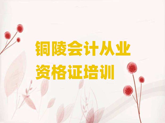 銅陵比較好的會(huì)計(jì)從業(yè)資格證培訓(xùn)班精選名單排行榜匯總