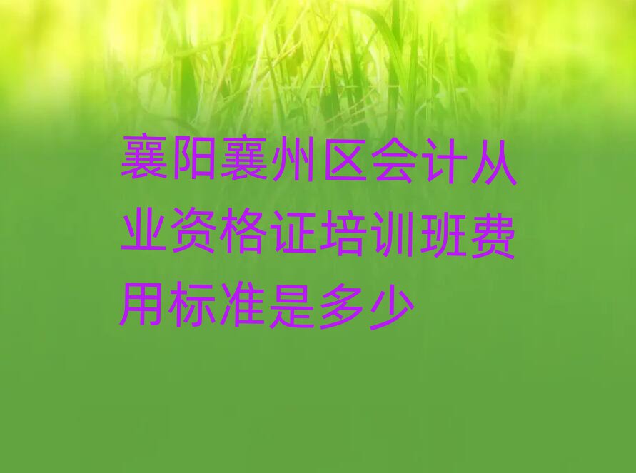 襄陽襄州區(qū)會計從業(yè)資格證培訓班費用標準是多少