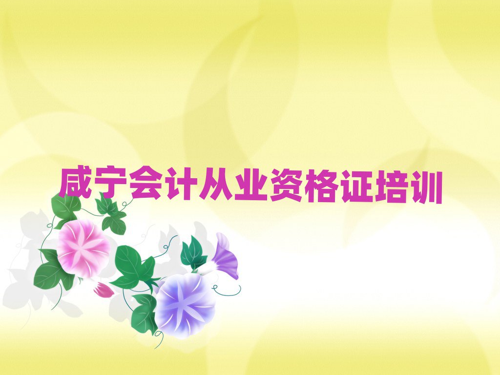 咸寧學會計從業(yè)資格證的學校實力排名名單