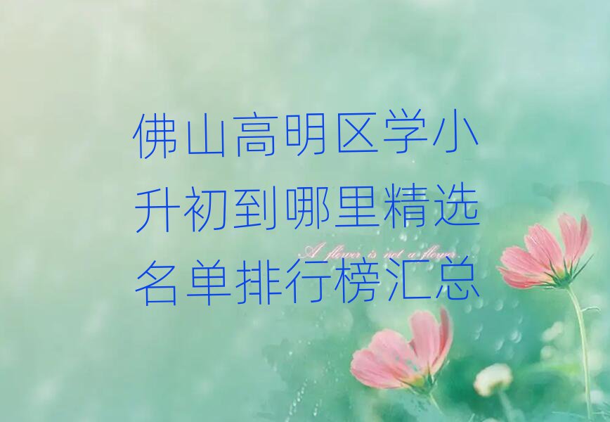 佛山高明區(qū)學(xué)小升初到哪里精選名單排行榜匯總