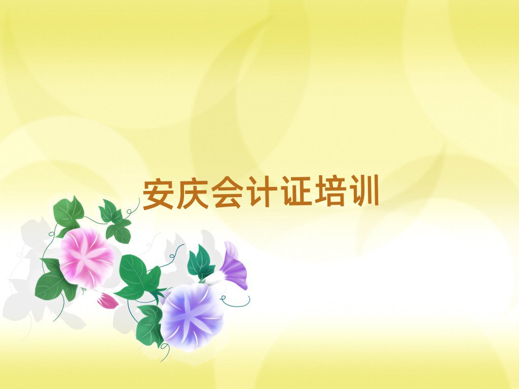 2025年安慶的會(huì)計(jì)證培訓(xùn)學(xué)校排名