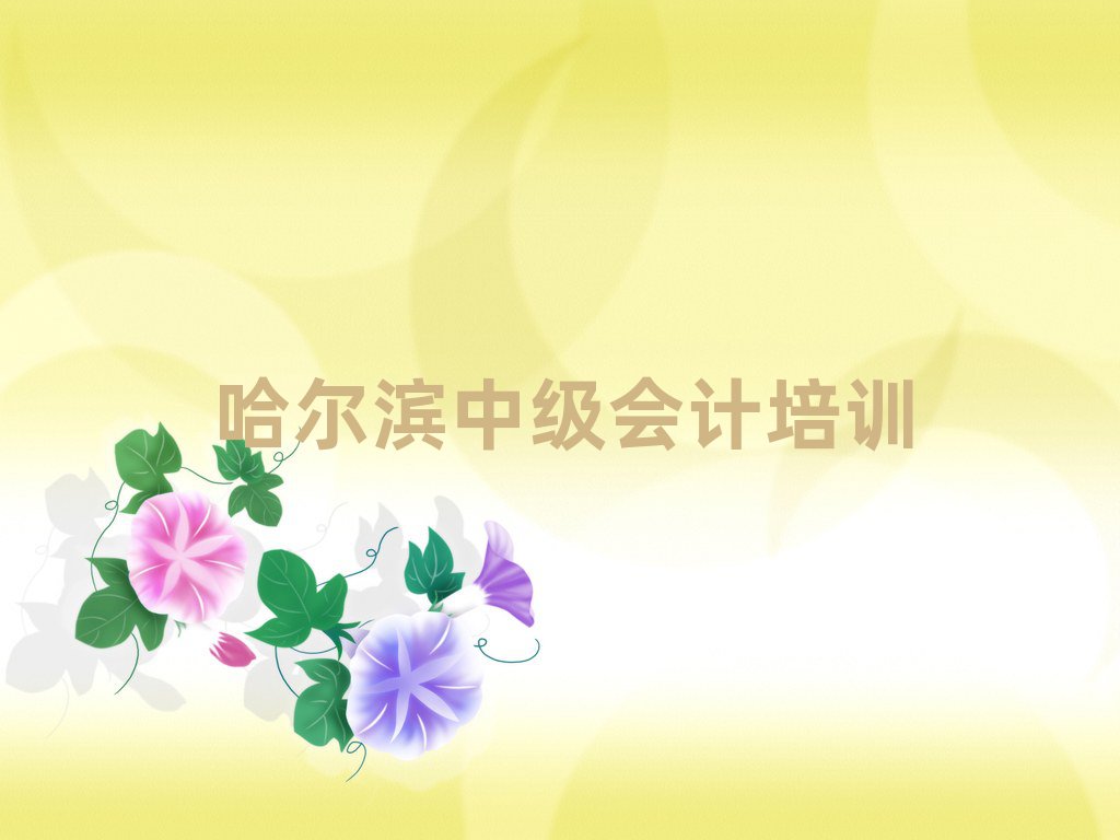 哈爾濱松北區(qū)中級(jí)會(huì)計(jì)哈爾濱培訓(xùn)學(xué)費(fèi)多少錢(qián)