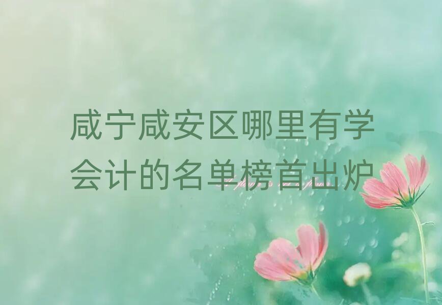 咸寧咸安區(qū)哪里有學(xué)會(huì)計(jì)的名單榜首出爐
