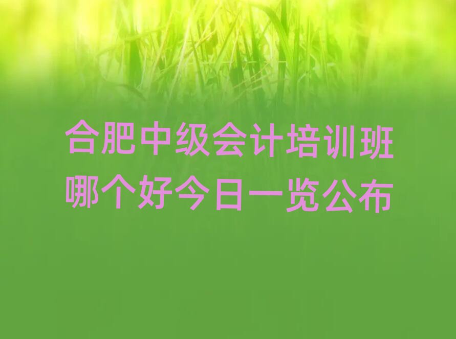 合肥中級會計培訓班哪個好今日一覽公布