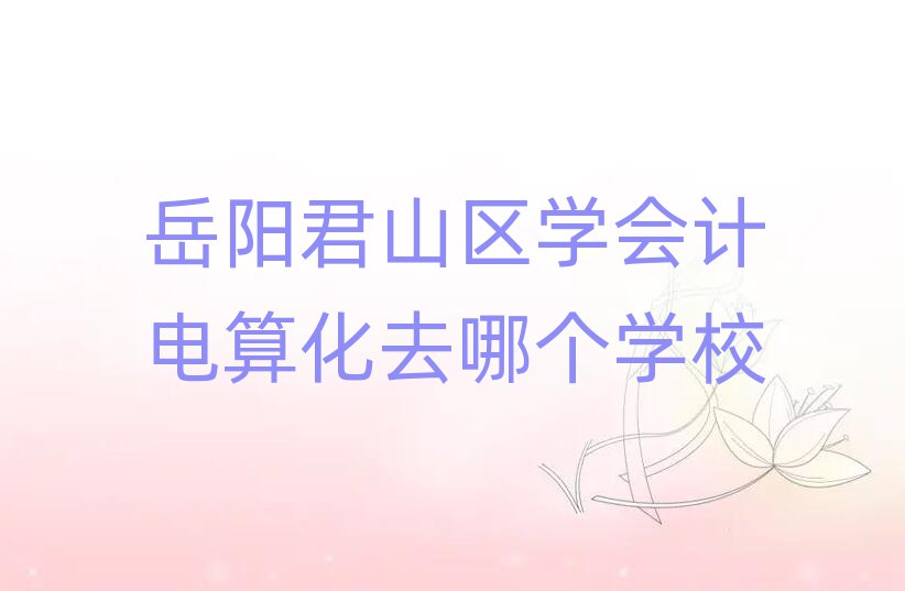 岳陽君山區(qū)學會計電算化去哪個學校