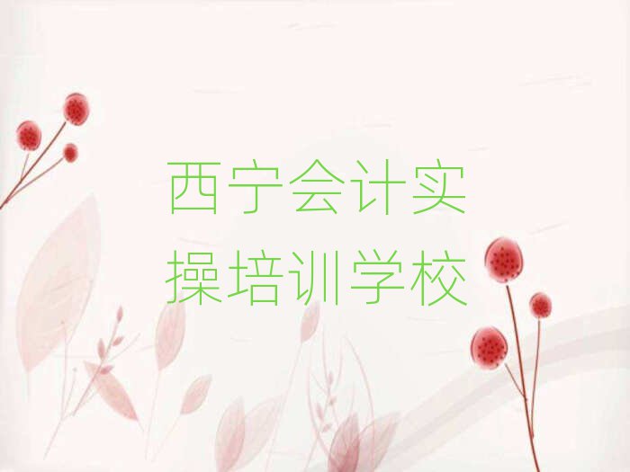 6月西寧湟中區(qū)會(huì)計(jì)實(shí)操培訓(xùn)學(xué)費(fèi)是多少錢(qián)