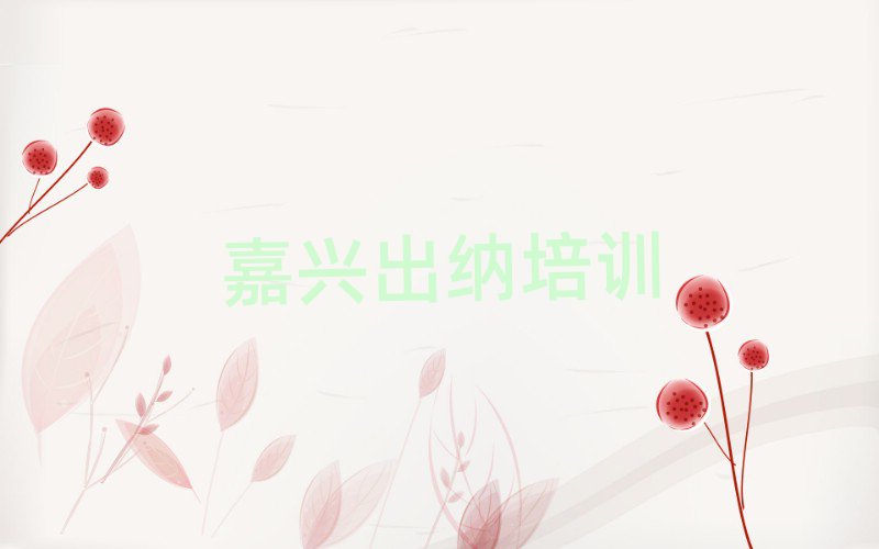 嘉興到哪里學(xué)出納top排行榜