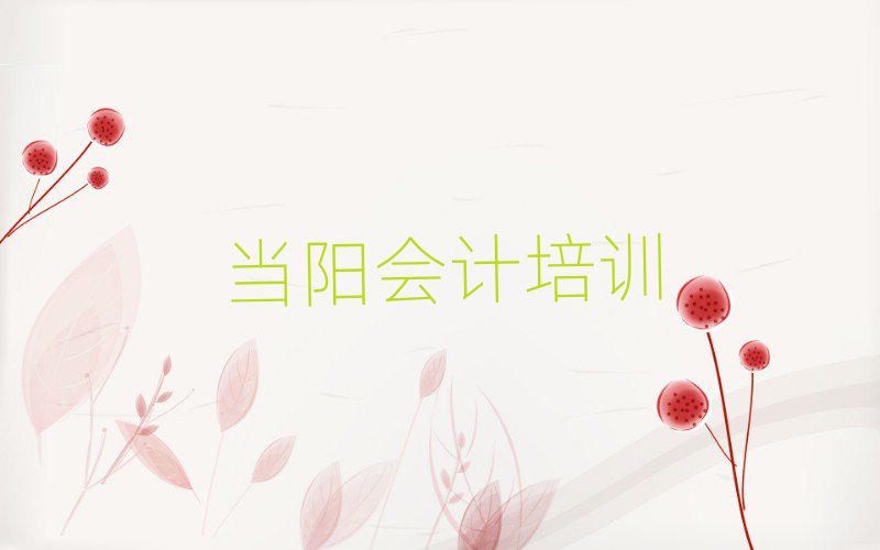 當(dāng)陽(yáng)學(xué)習(xí)會(huì)計(jì)的學(xué)校榜單一覽推薦排行榜