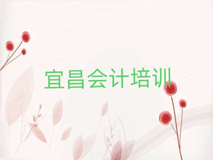 宜昌哪里有學(xué)會(huì)計(jì)的名單精選一覽