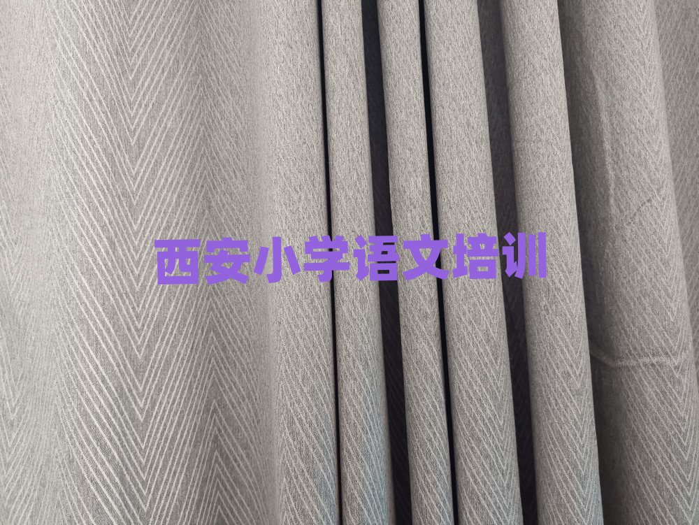 2025年西安碑林區(qū)報(bào)小學(xué)語文班一覽