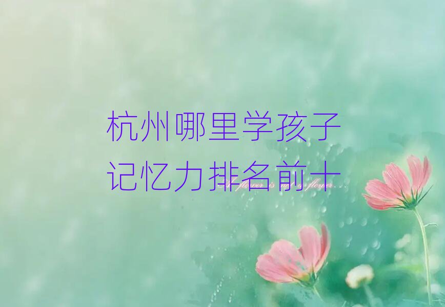 杭州哪里學(xué)孩子記憶力排名前十