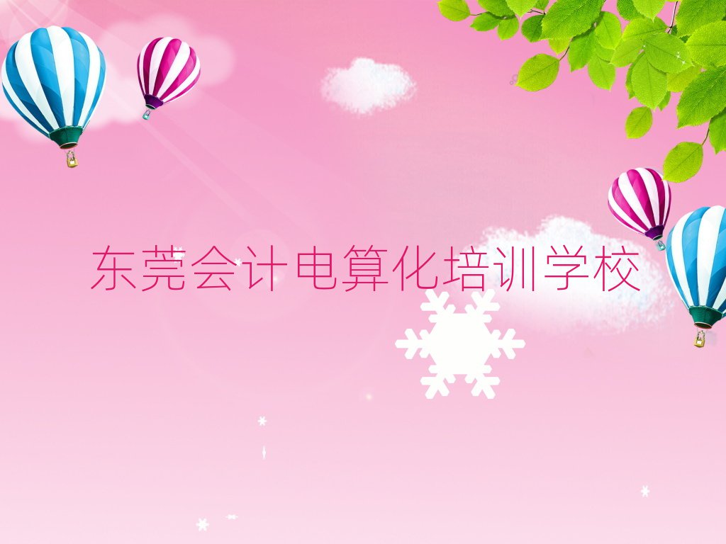 東莞在哪可以學(xué)會(huì)計(jì)電算化名單