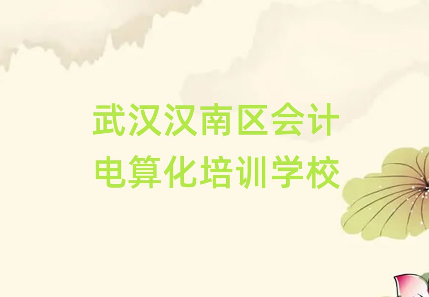 武漢漢南區(qū)在哪學會計電算化名單榜首出爐
