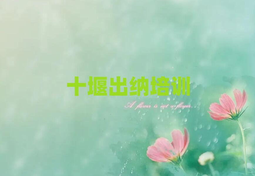 十堰出納培訓(xùn)費(fèi)top排行榜