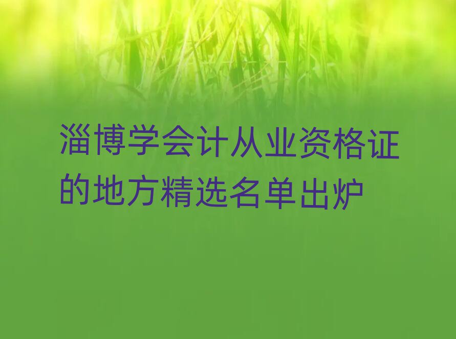 淄博學(xué)會(huì)計(jì)從業(yè)資格證的地方精選名單出爐