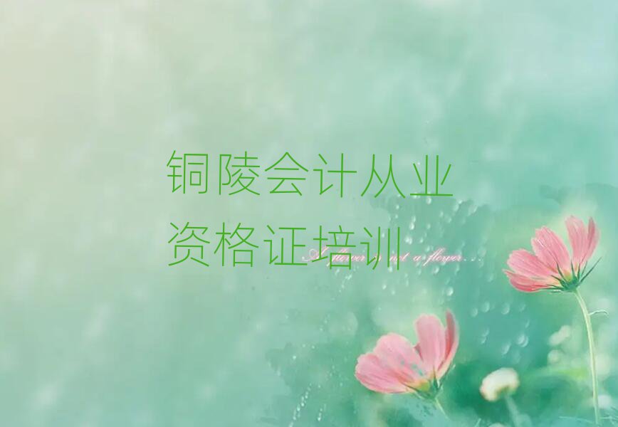 銅陵學(xué)會計(jì)從業(yè)資格證去什么學(xué)校名單大全一覽