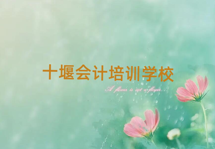 十堰會計網(wǎng)上學習班今日一覽公布