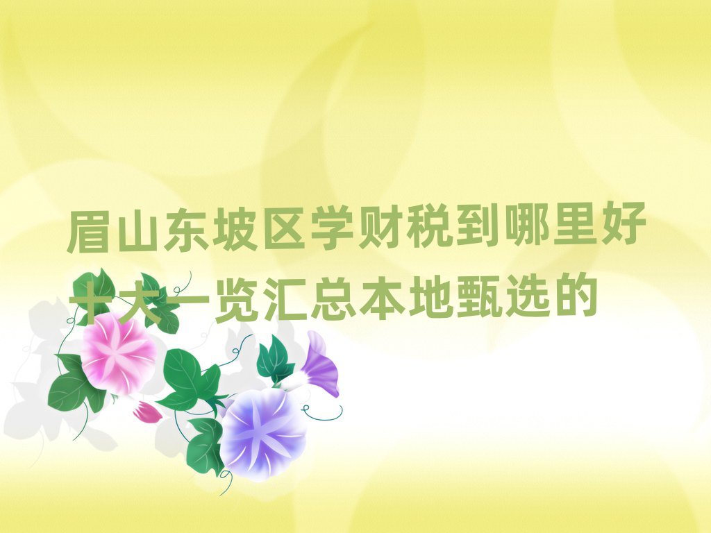 眉山東坡區(qū)學財稅到哪里好十大一覽匯總本地甄選的