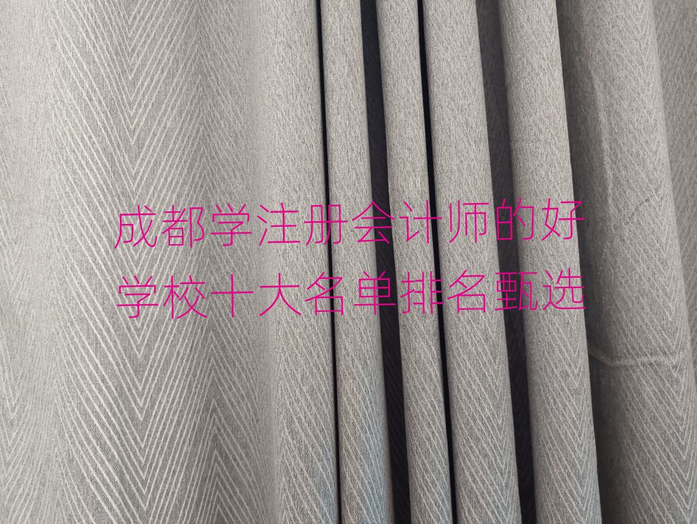 成都學(xué)注冊會計師的好學(xué)校十大名單排名甄選