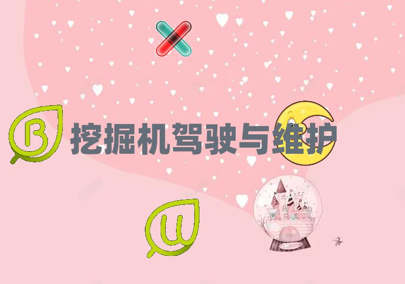 2019궼ھCYCa