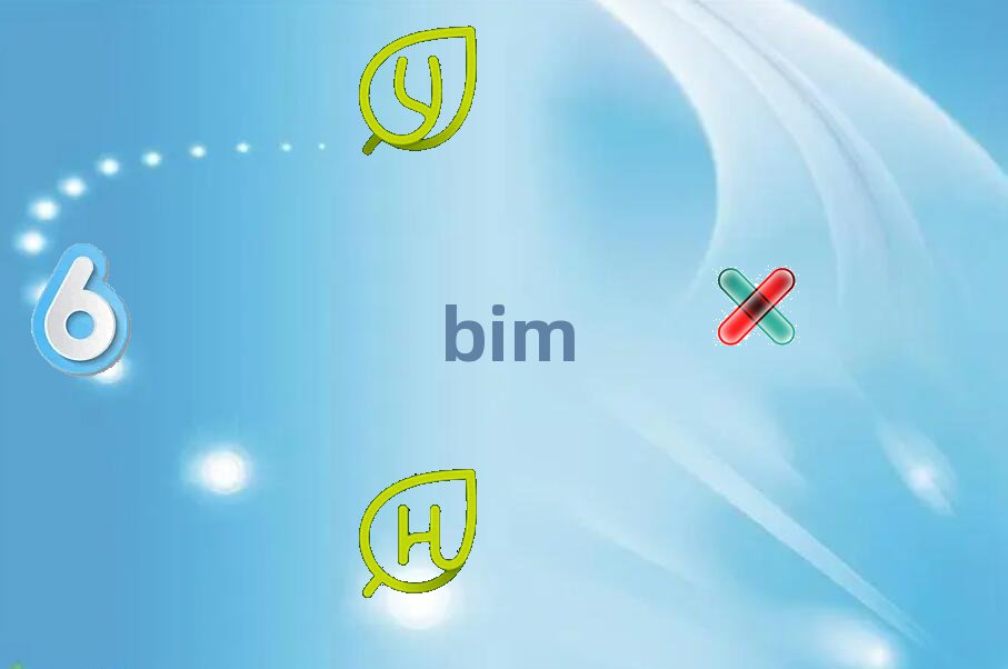 BIM